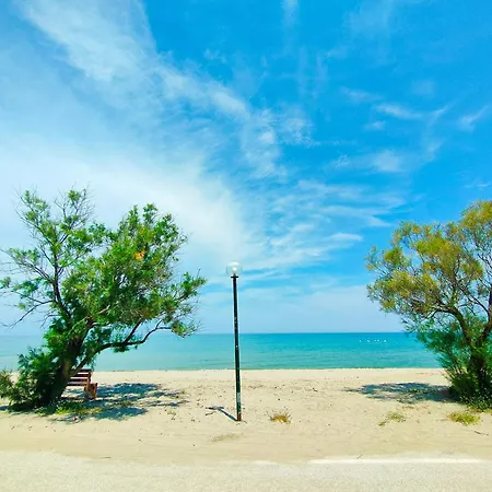 Alba Néa Meságkala