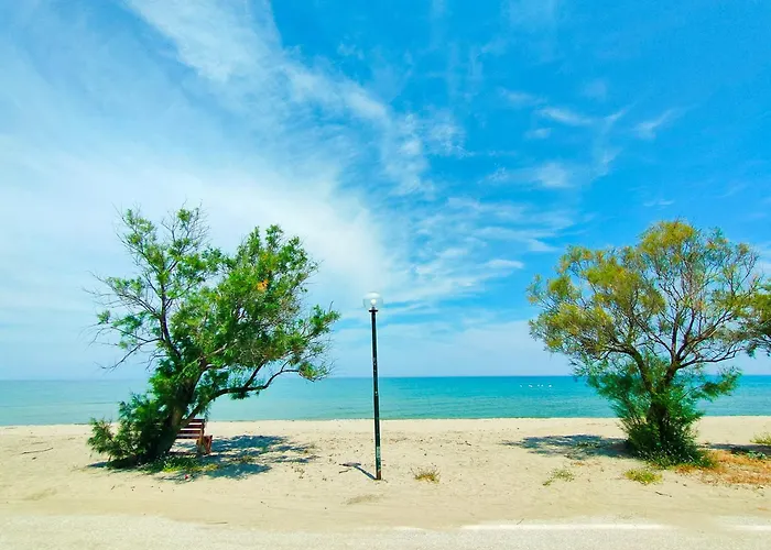 Alba Néa Meságkala